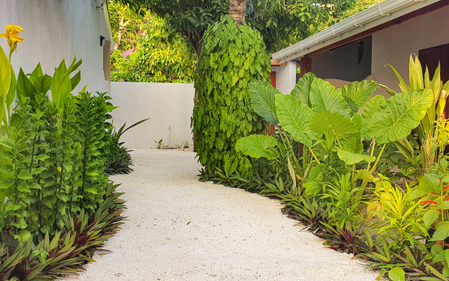 Thoddoo Island Life Guest House