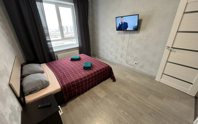 Квартира Толстого 3