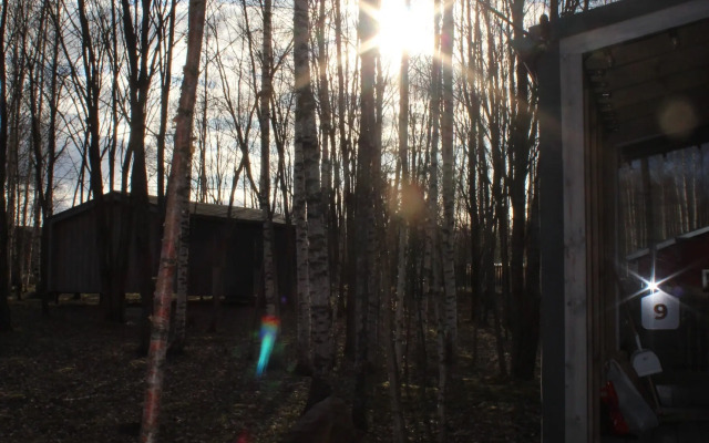 Частный дом в берёзовой роще