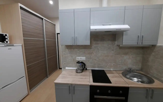 Studiya S Balkonom Na 17 Etazhe Apartments