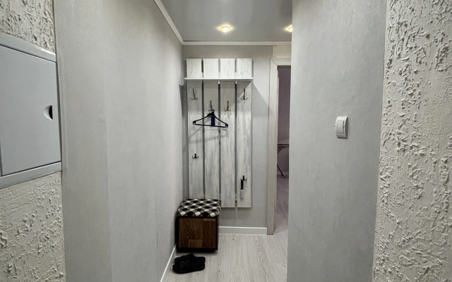Vozle Ploschadi Flat