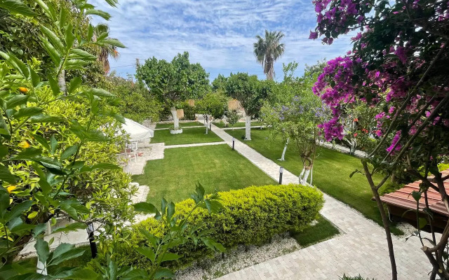 Alican Pension