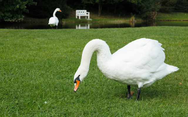 Гостевой дом Шувалофф