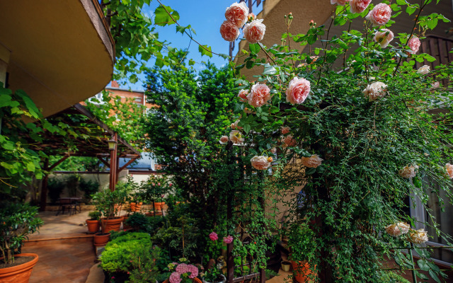 Loris Guest House