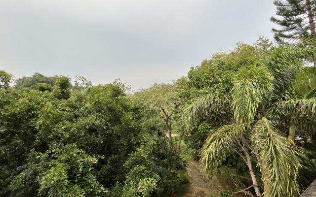 Dinoos Weligama Villa