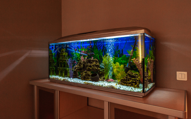 Квартира ApartHause у Екатеринбург-Арена и Госпиталя МВД