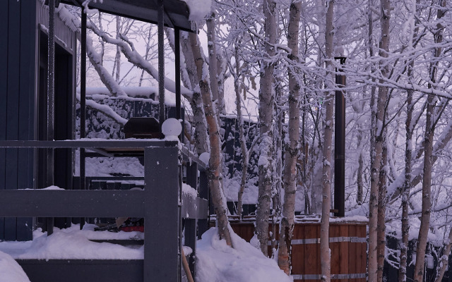 Частный дом в лесу