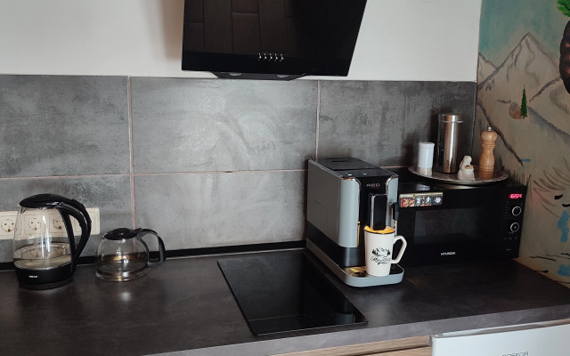 Шале Shiska_Gesh