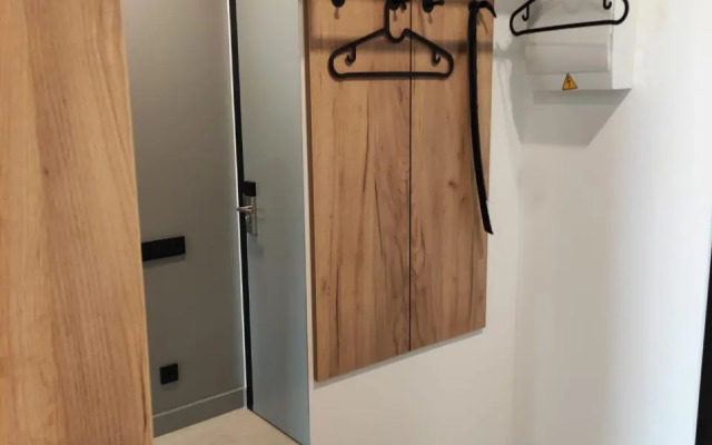 V Tsentre Apartment