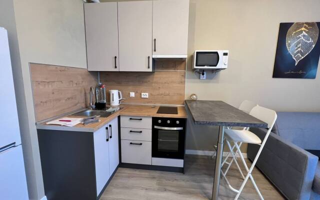 Apartamenty Vidovye Apartamenty Na Neve Ot Rent198 Apartments