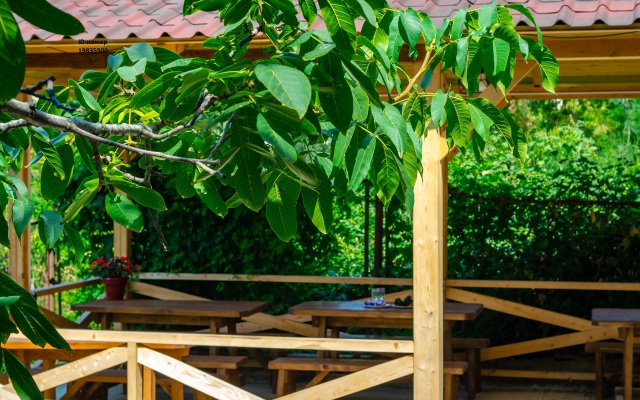 Dacha Guest House