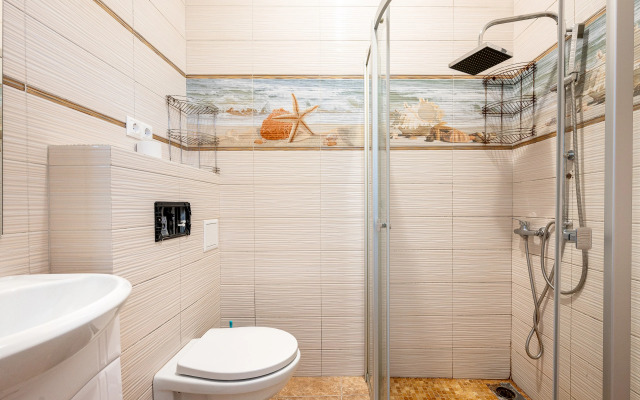 Частный дом в Сестрорецке с Баней и Бассейном