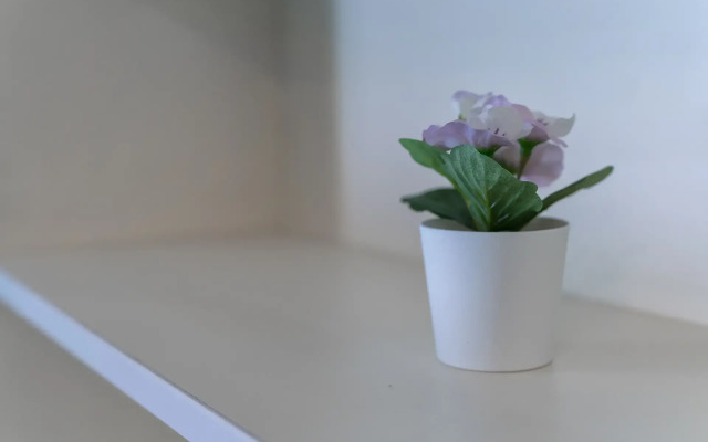 Квартира на Смоленской 10