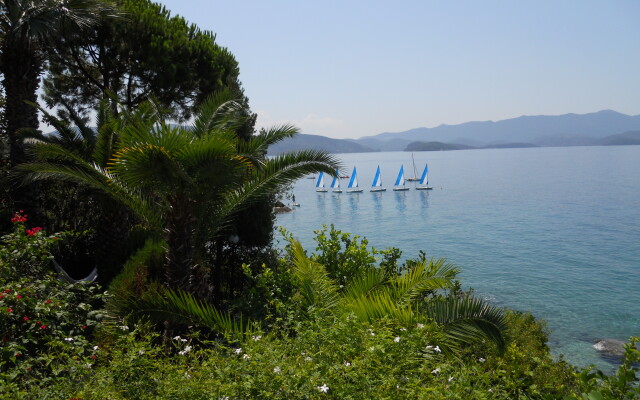 Villa  Elektra Apartments
