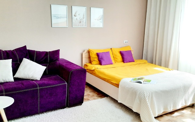 Odnokomnatnaya V Tsentralnom Rayone Goroda Flat