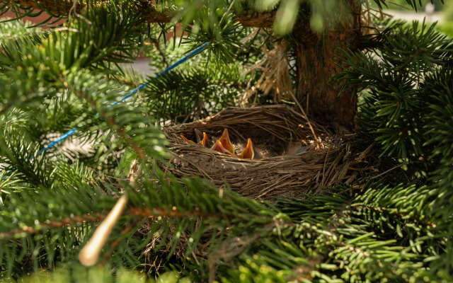 Гостевой дом Эко-отель Агдам