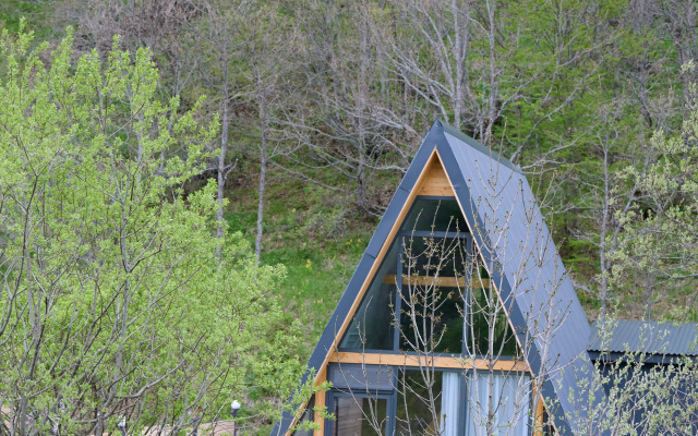 Chalet Ari Home Aghveran