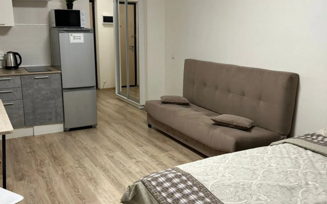Dream House U Aeroporta Apartments