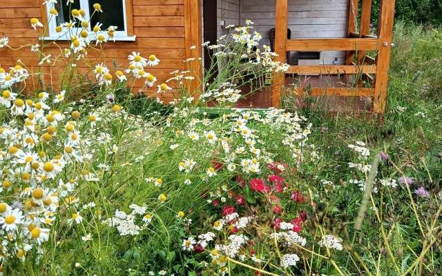 Частный дом Роза на поле