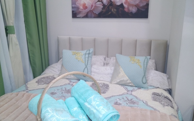 Studiya nedaleko ot Avrory Flat