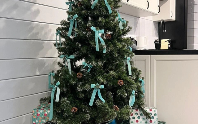 Вилла Sosna Igora House