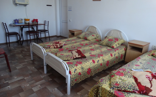 Elizaveta Mini-Hotel