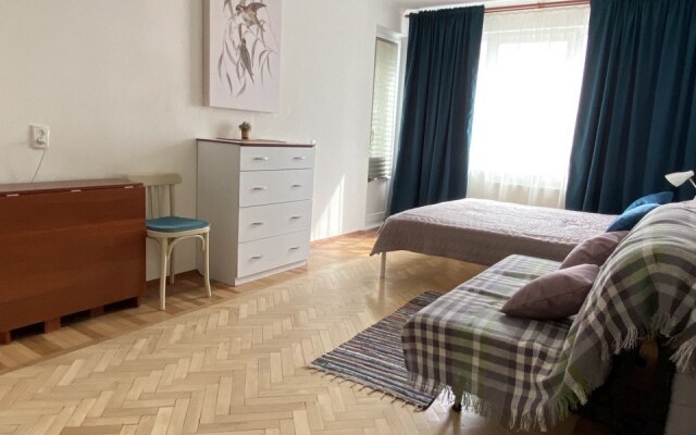 Uyutnaya Svetlaya Apartment