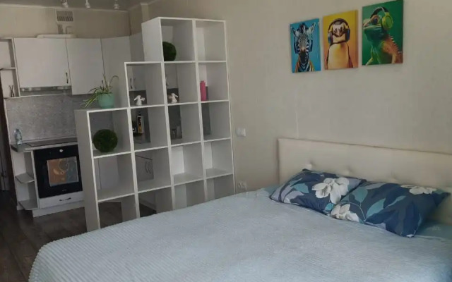Uyutnaya Studiya S Gamakom Apartments