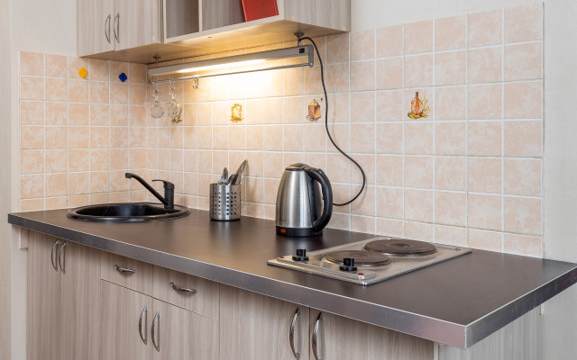 Аппартаменты Петра Метальникова