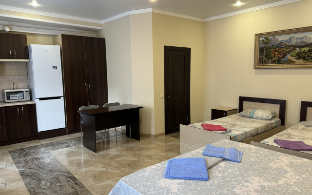 V Tsentre Apartments