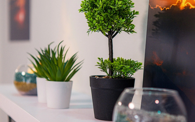 Квартира Двухкомнатная квартира в черте исторического центра Калининграда