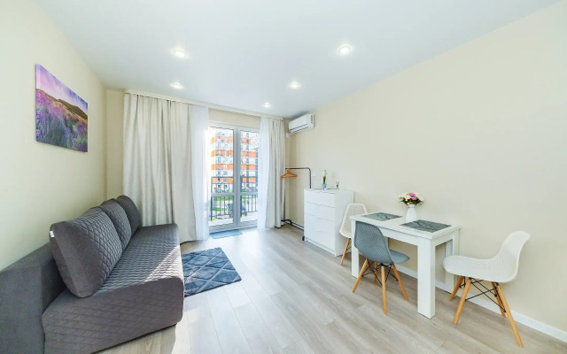 319 svetlye v ZhK Letniy dlya semi Apartments