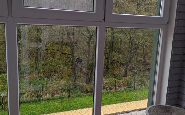 Квартира Уютная квартира с видом на лес Куршской косы