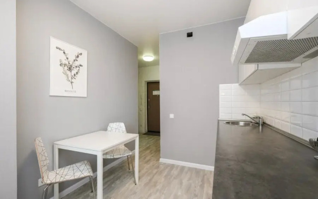 Апартаменты Домант Романова 60/1 (3)