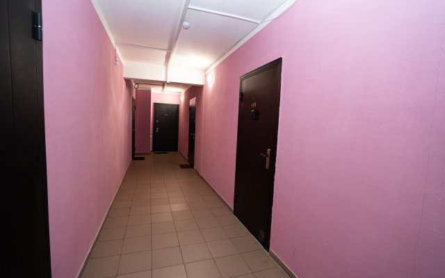 Na Aeroporte 2 Apartments