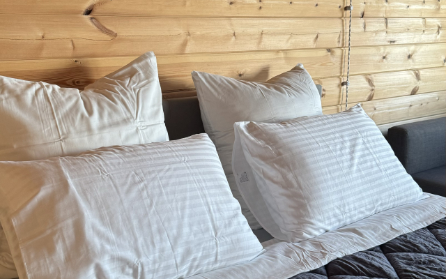 Kostina Dacha Guest House