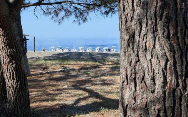 Kedr Park-Hotel