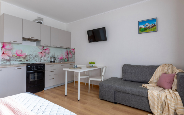 Квартира Живи в Песочном Студия Садовая 88