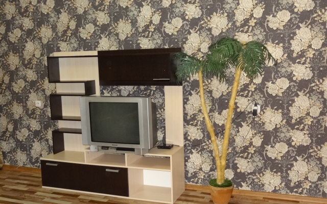 Na Alekseeva Apartments