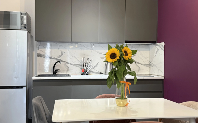 Apartamenty s 2 spal'nami i balkonom v centre goroda ot Sweet Home