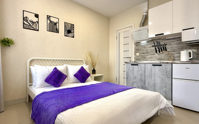 Апартаменты 11 двухместная Cтудия Делюкс