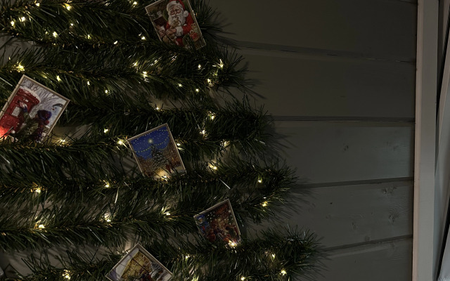 Частный дом Skandi Life