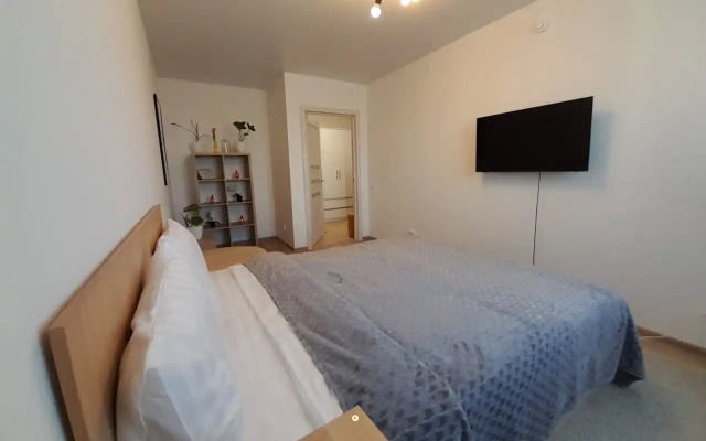 Квартира 1-комнатная