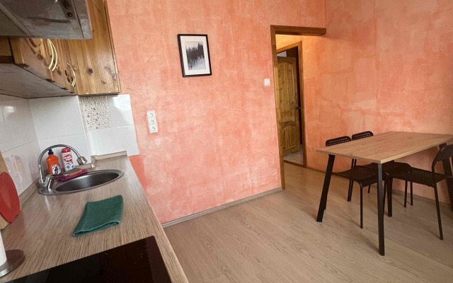 Апартаменты на Склизкова 116