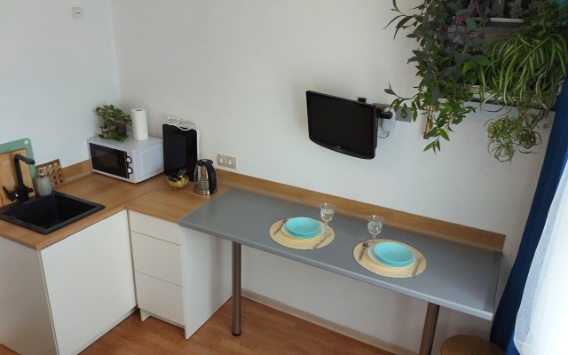 Snezhnost Apartments