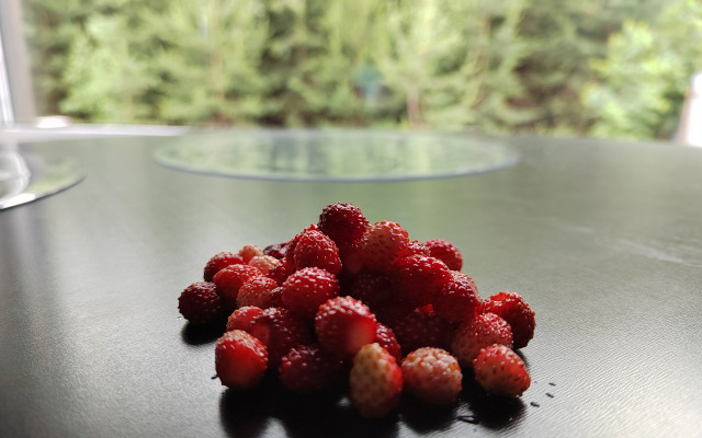 Шале Evropa Dream