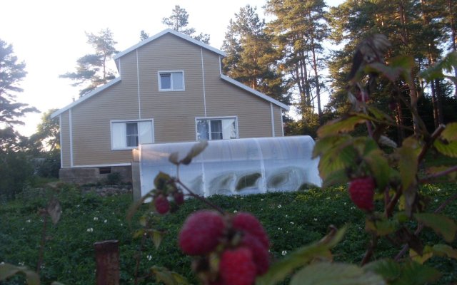 Дом у сосен