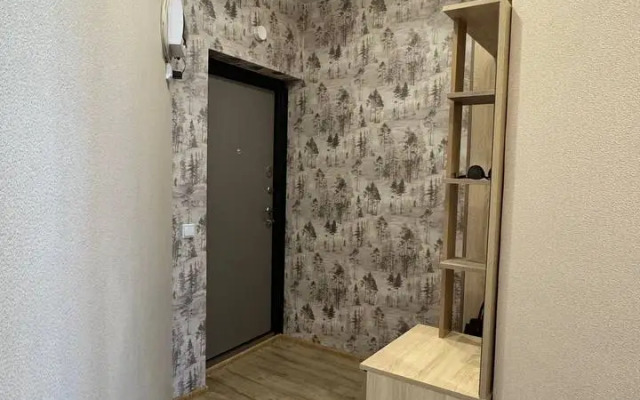 Bolshaya Kvartira V Tsentre Goroda Flat