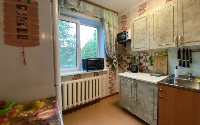 1-K Kvartira u Ploschadi Pobedy Flat