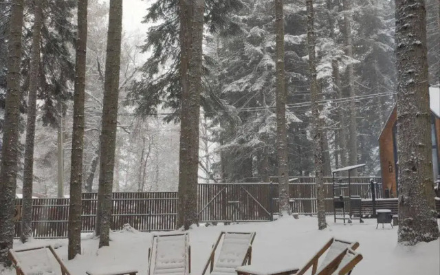 База отдыха Barn&Wood